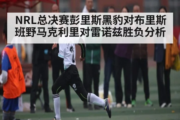 NRL总决赛彭里斯黑豹对布里斯班野马克利里对雷诺兹胜负分析